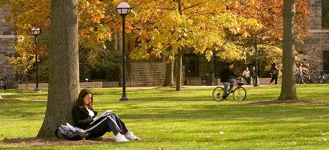 reporthero-prelimfallenroll25